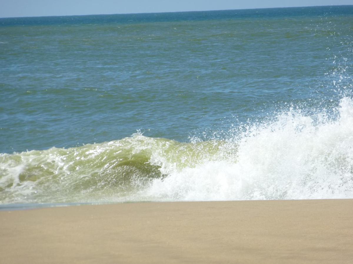 RONCE LES BAINS 200 mètres de la plage La Tremblade Extérieur photo